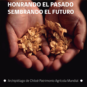 libro_honrando_el_pasado_sembrando_el_futuro
