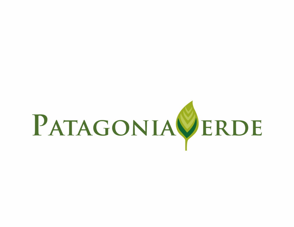 pat_verde