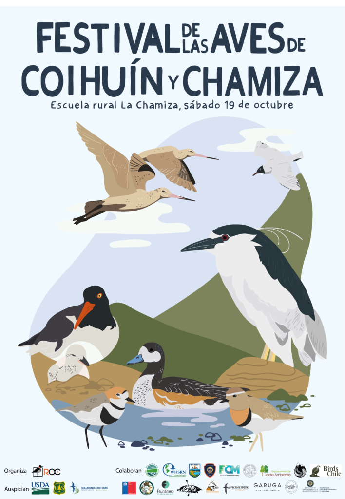 4ta versión del Festival de las aves de Coihuín y Chamiza