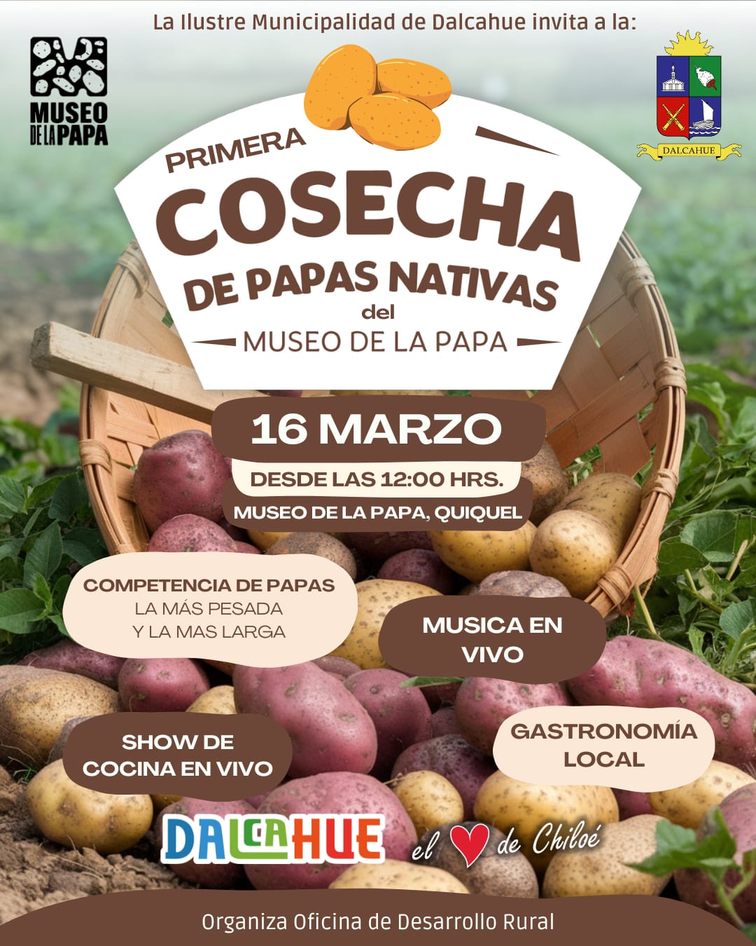 1° Cosecha de Papas Nativas